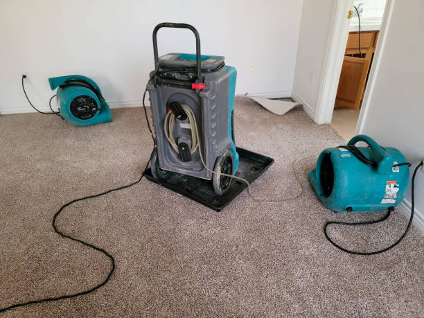  Park Hills, KY Water damage restoration Pros