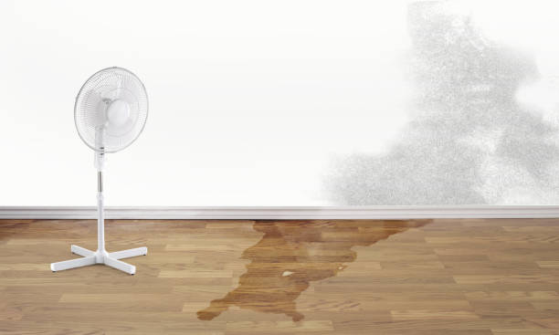 Park Hills, KY Water damage restoration Company