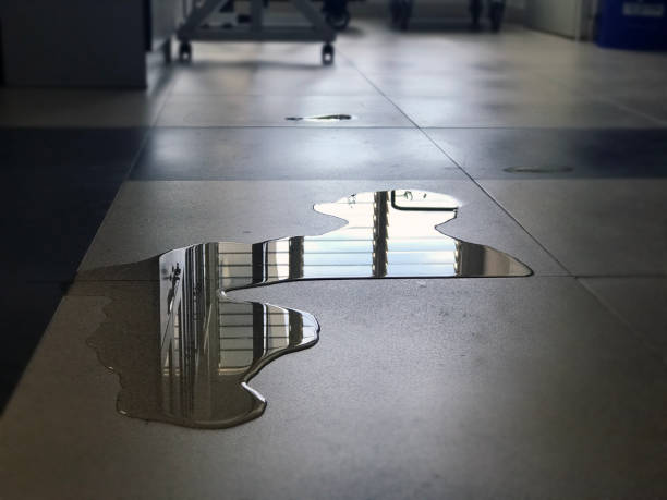Best 24/7 water damage repair  in Park Hills, KY