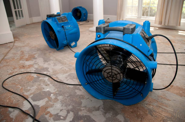 Best Flooded house restoration  in Park Hills, KY