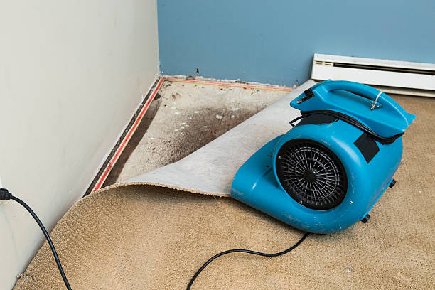 Best Water damage contractors near me  in Park Hills, KY