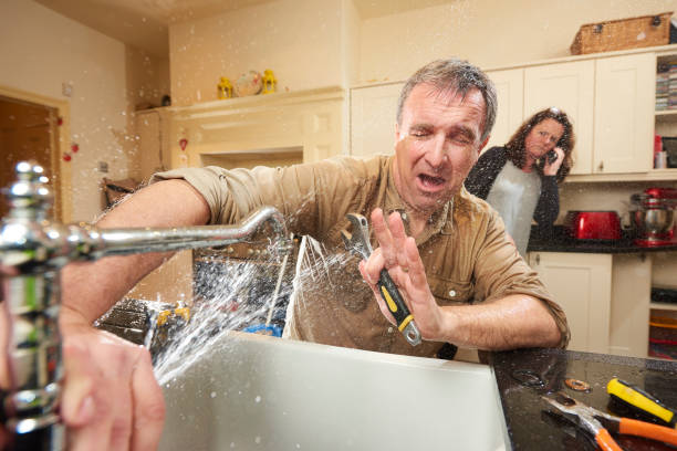 Best Local water damage restoration  in Park Hills, KY